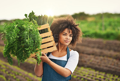 Buy stock photo Cropped shot of an attractive young female farmer carrying a crate of fresh produce