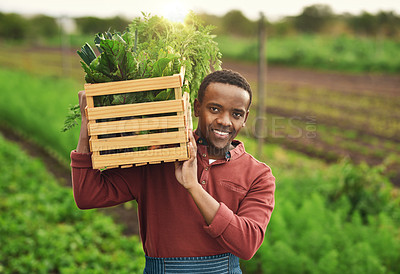 Buy stock photo Cropped portrait of a handsome young male farmer carrying a crate of fresh produce