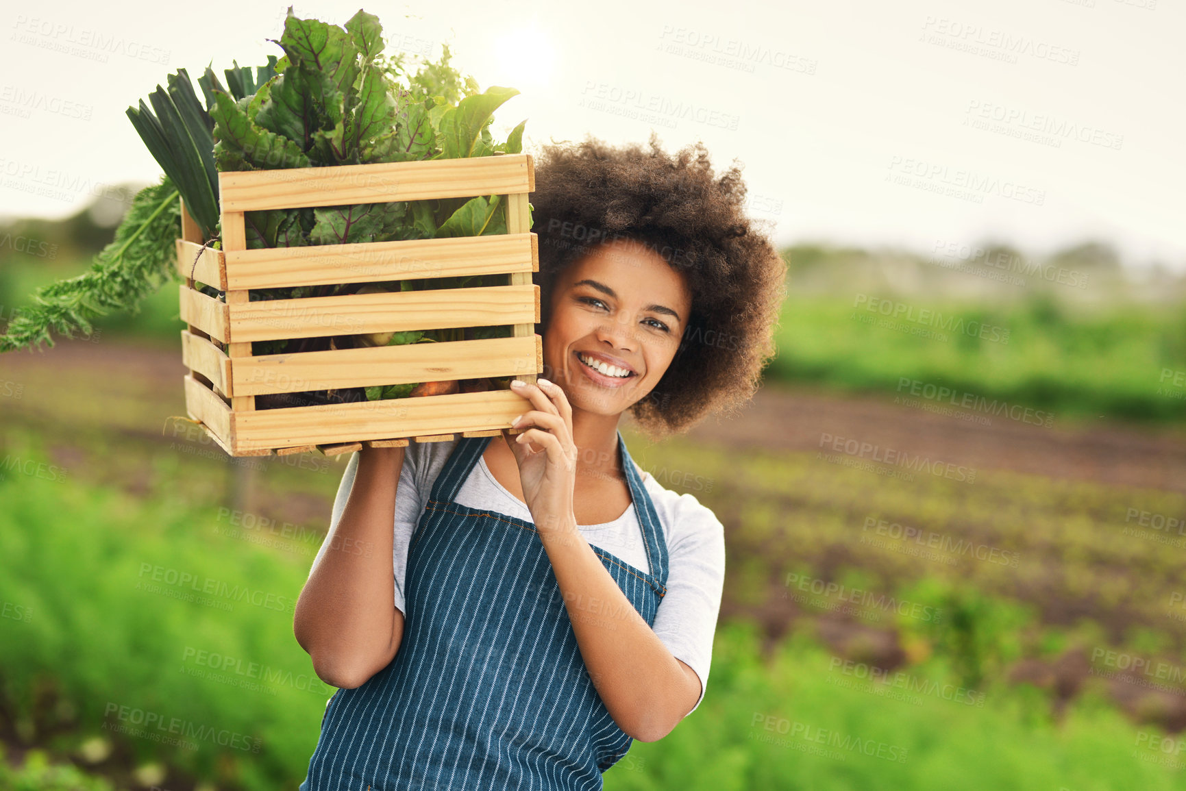 Buy stock photo Woman, portrait and crate with crops on field for natural produce, fresh food or sustainable farming. African farmer, person and happy with vegetables in nature for agribusiness supplier or nutrition