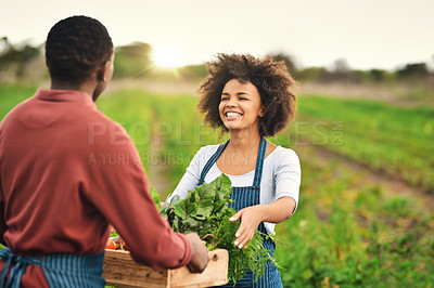 Buy stock photo Cropped shot of an attractive young female farmer passing a crate of fresh produce to her husband