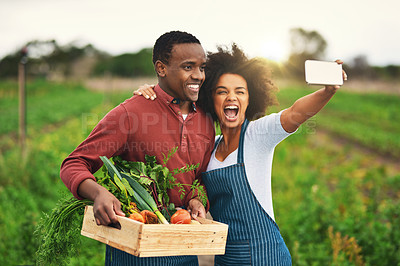 Buy stock photo Man, woman or selfie with vegetables for farming, profile picture for social media or startup blog. Black people, food or agro business for green environment, excited entrepreneur or face photography