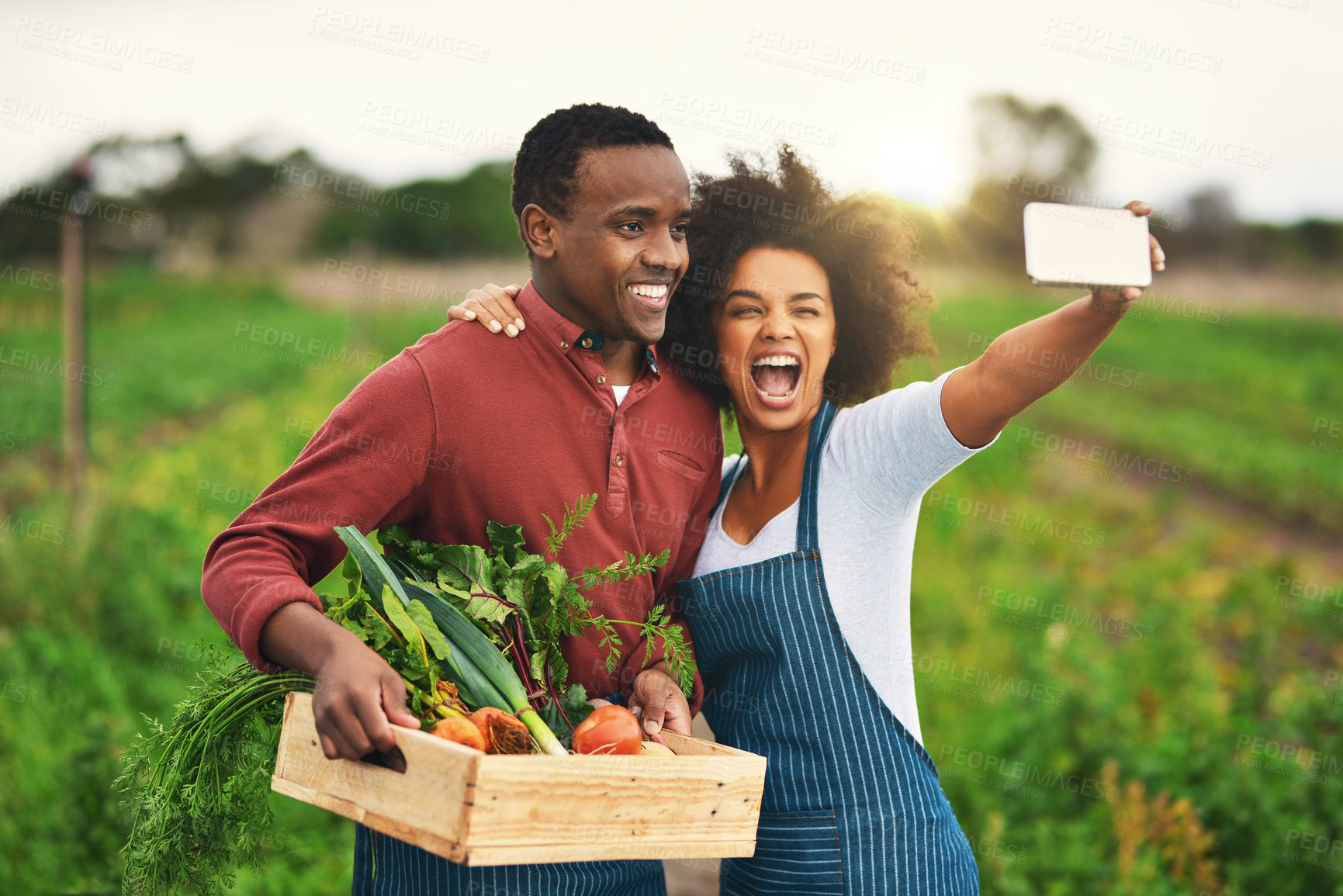 Buy stock photo Man, woman or selfie with vegetables for farming, profile picture for social media or startup blog. Black people, food or agro business for green environment, excited entrepreneur or face photography