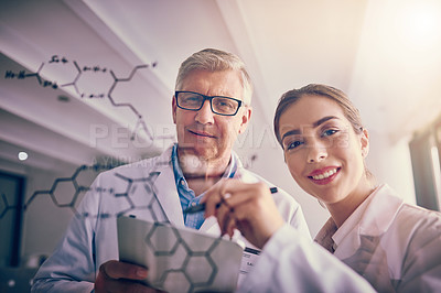 Buy stock photo Portrait of two focused scientists working together solving equations on a glass wall while looking at the camera