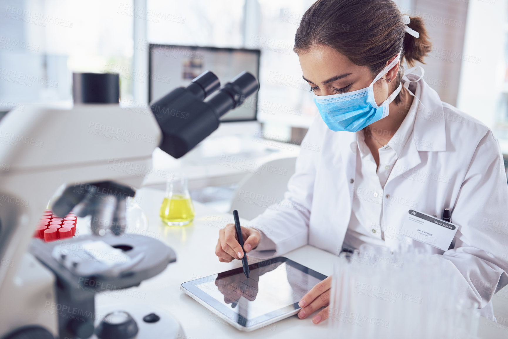 Buy stock photo Shot of a focused young female scientist wearing a surgical mask and working on a digital tablet inside of a laboratory