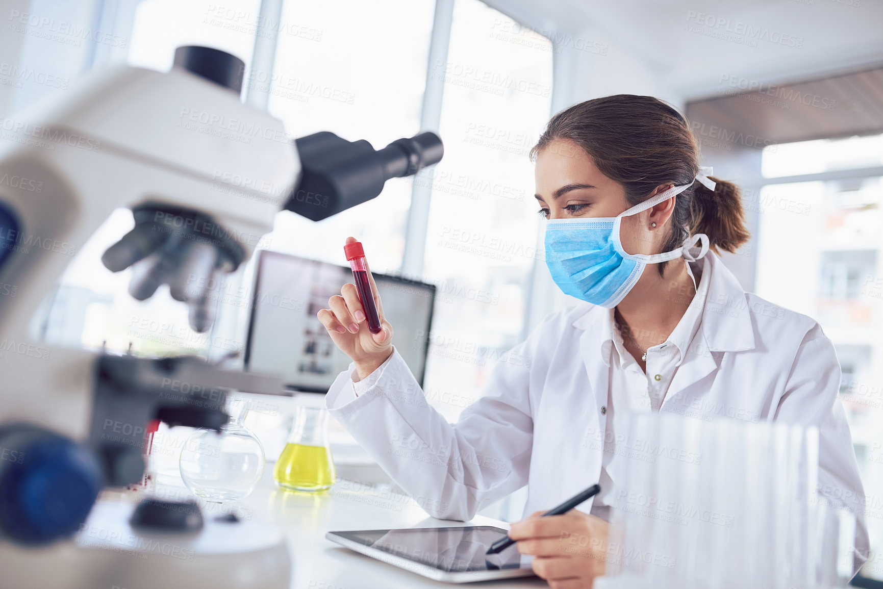 Buy stock photo Shot of a focused young female scientist wearing a surgical mask and holding a vile of blood inside a laboratory