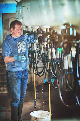 Buy stock photo Shot of a farmer preparing the cow milking equipment on a dairy farm