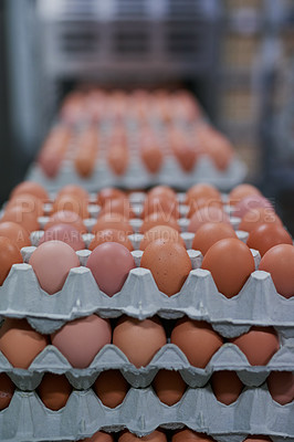 Buy stock photo Shot of packed chicken eggs moving out of a machine inside of a factory