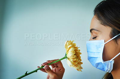 Buy stock photo Shot of a young woman smelling a flower while wearing a surgical mask