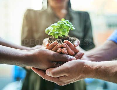 Buy stock photo Growth, teamwork and plant in hands of eco group of people for agriculture and collaboration in a sustainable green business. Diverse people holding and supporting a sprout in soil in growing startup