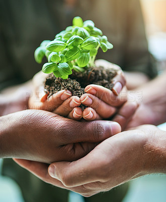 Buy stock photo Closeup of green, natural and eco friendly group of hands holding planting soil together, for gardening or farming. Nature environment team with fresh earth and growth of small plant.  