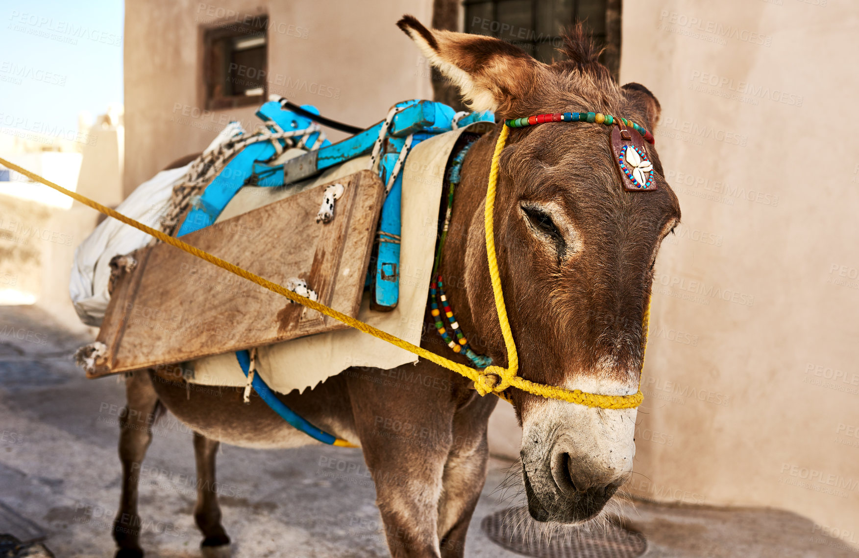 Buy stock photo Shot of a hard working donkey carrying equipment on it's back while walking down a street during the day