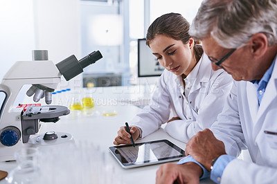 Buy stock photo Shot of two scientists working together on a digital tablet in a lab