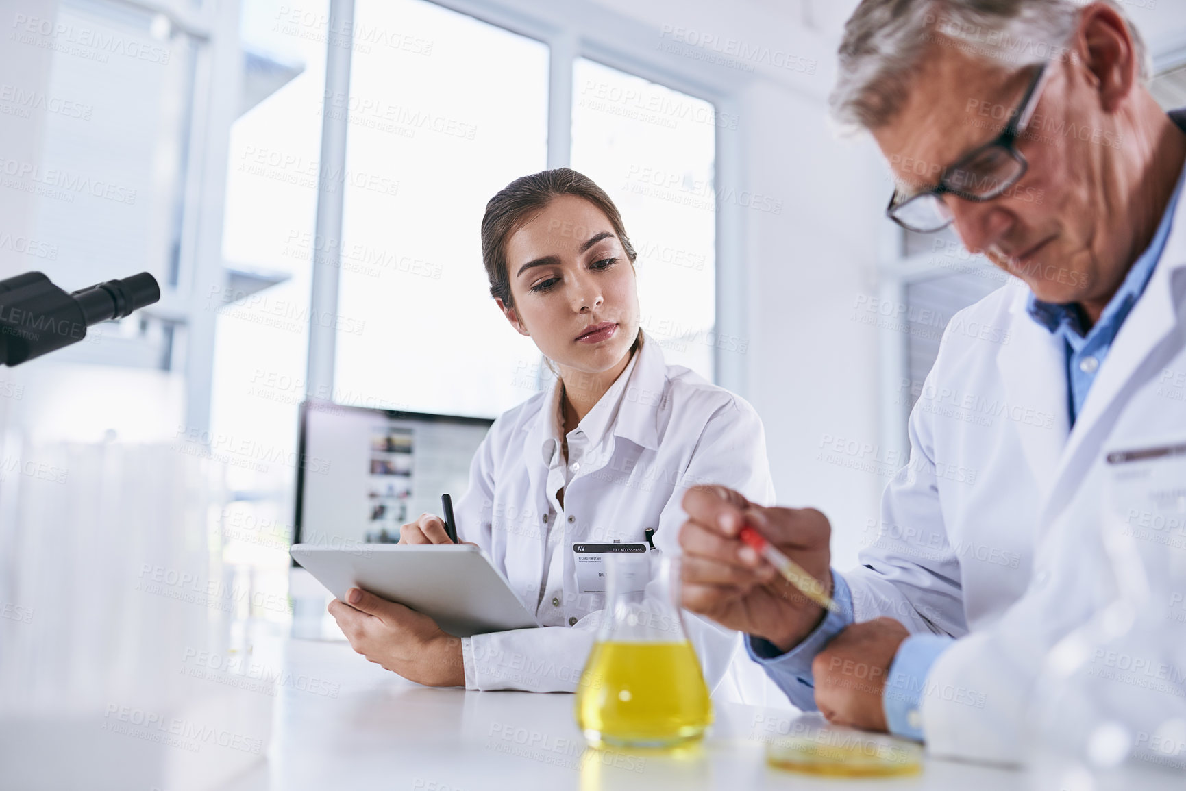 Buy stock photo Shot of two scientists working in a lab