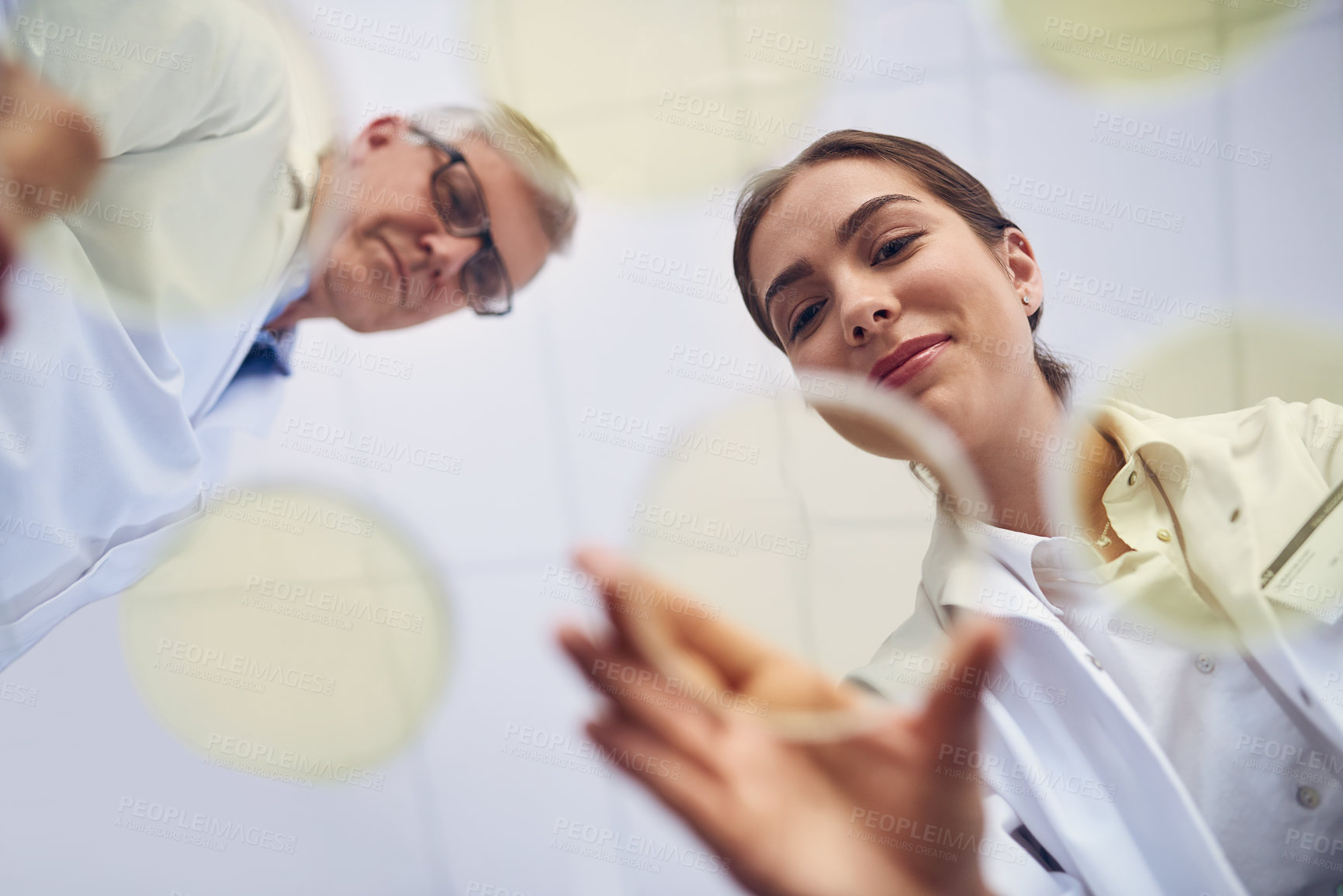 Buy stock photo Breakthrough, science and teamwork with people in laboratory from below for innovation or research. Discovery, experiment or Petri dish with man and woman scientist at work for cure or vaccine