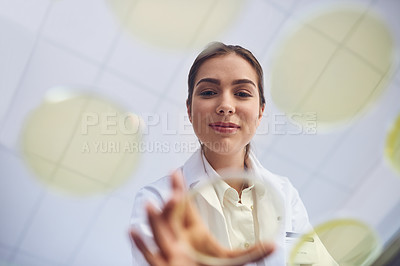 Buy stock photo Low angle shot of a young scientist conducting an experiment in a lab