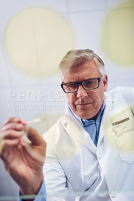 Buy stock photo Low angle shot of a mature scientist conducting an experiment in a lab
