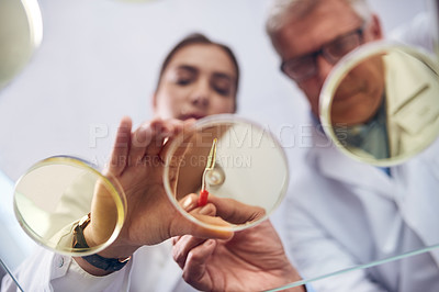 Buy stock photo Sample, science and teamwork with people in laboratory from below for innovation or research. Breakthrough, discovery or petri dish with man and woman scientist at work for experiment or vaccine