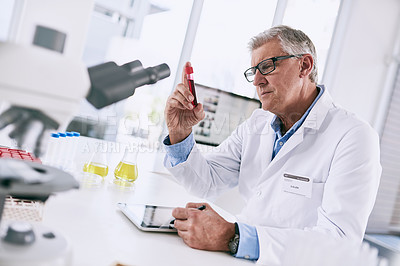 Buy stock photo Shot of a mature scientist analyzing a test tube in a lab