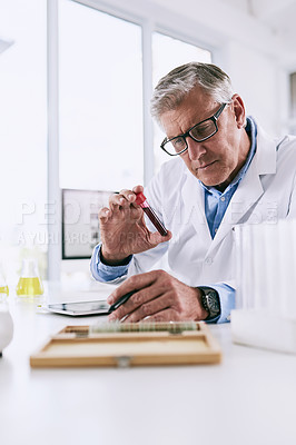 Buy stock photo Shot of a mature scientist analyzing a test tube while using a digital tablet in a lab