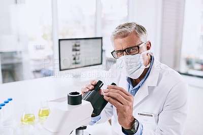 Buy stock photo Portrait of a mature scientist using a microscope in a lab