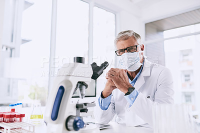Buy stock photo Portrait of a mature scientist working in a lab
