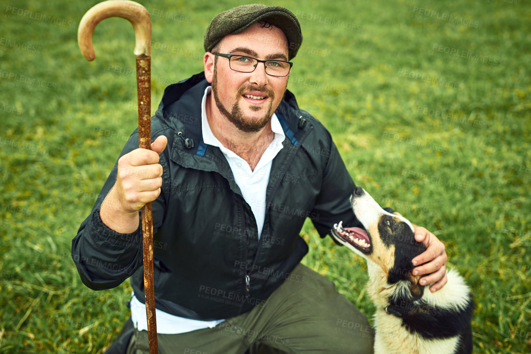 Buy stock photo Cane, dog and portrait of farmer on field with training pet for herding sheep for live stock. Nature, walking stick and male sustainable business owner with puppy for animal behavior in Norway.