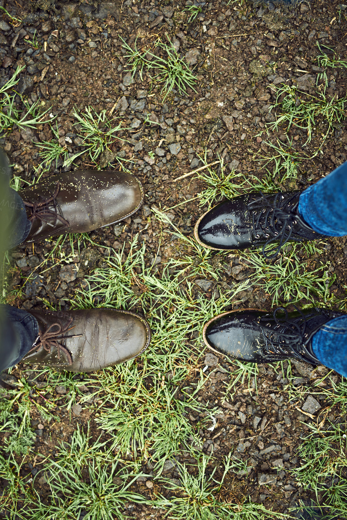 Buy stock photo People, shoes and above with boots on farmland for agriculture, farming or harvest of natural growth. Top view, feet and farmers with dirt on grass field, patch or lawn for horticulture or gardening