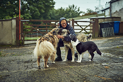 Buy stock photo Shot of a cheerful young farmer kneeling on the ground to greet his three dogs outside during the day