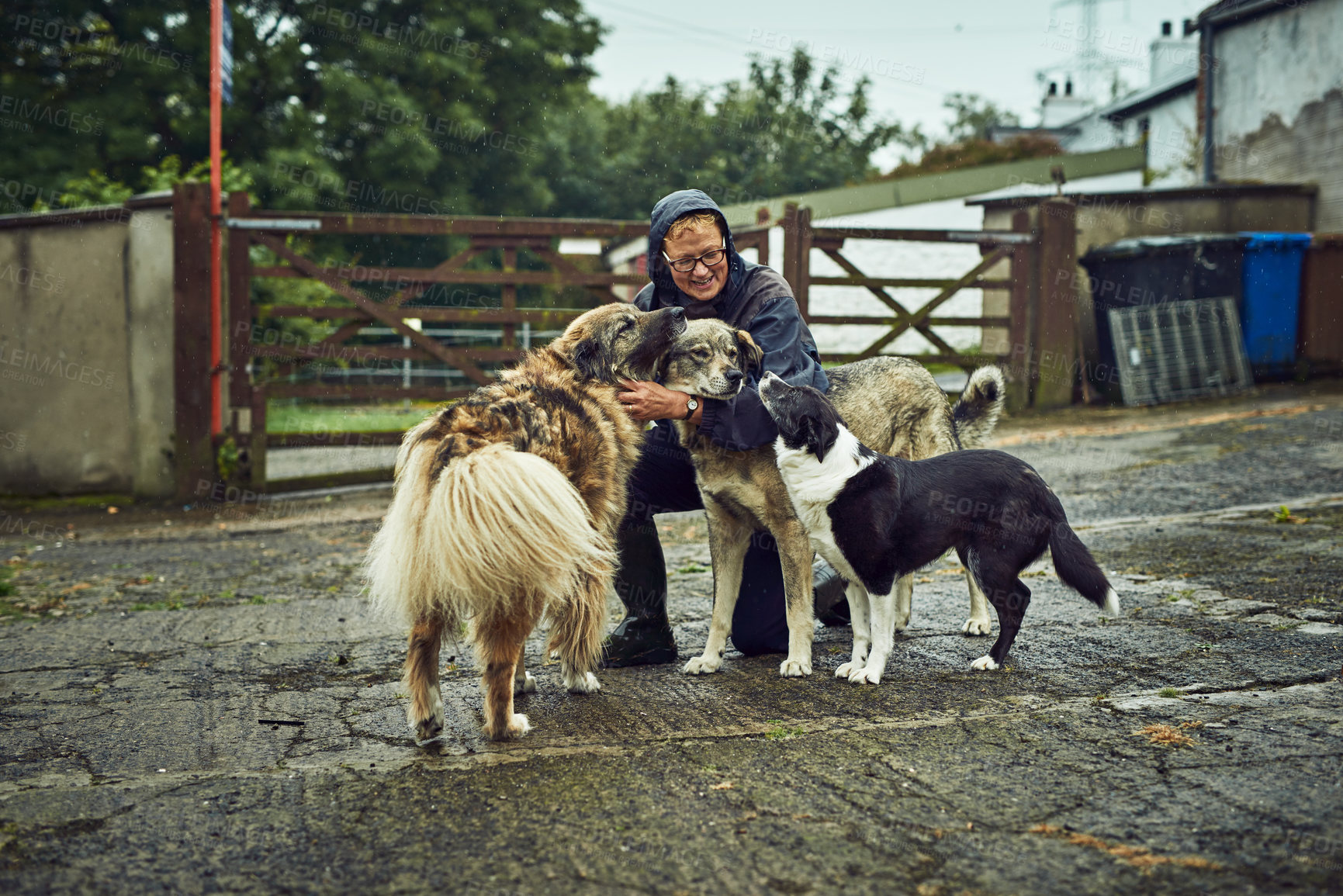 Buy stock photo Shot of a cheerful young farmer kneeling on the ground to greet his three dogs outside during the day