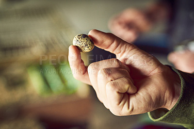 Buy stock photo Shot of a unrecognizable person's hand holding a little egg outside on a farm during the day