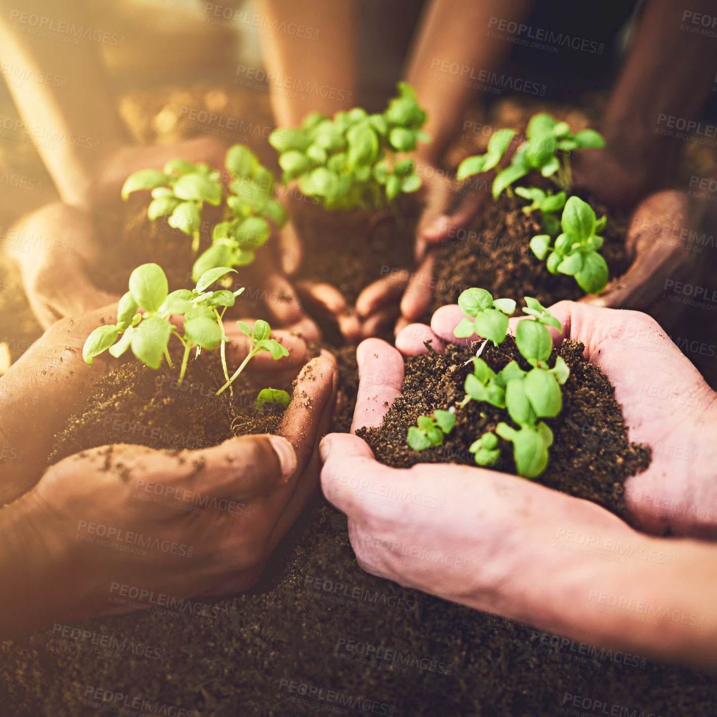 Buy stock photo Closeup shot of a group of unrecognizable people holding plants growing out of soil