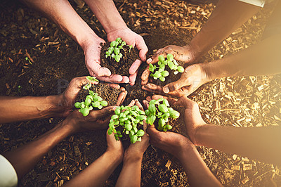 Buy stock photo Closeup, top view and hands with soil, plants and agriculture with growth, environment and nature. Zoom, people and earth with sustainability, recycle and leave with eco friendly, natural and farm