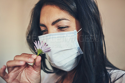 Buy stock photo Shot of a young woman wearing a protective mask while smelling a flower at home