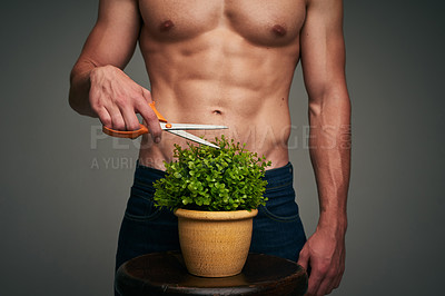 Buy stock photo Studio shot of an unrecognizable young shirtless  man against a grey background busy cutting the leaves of a pot plant