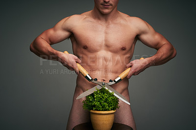 Buy stock photo Studio shot of an unrecognizable young shirtless  man against a grey background busy cutting the leaves of a pot plant