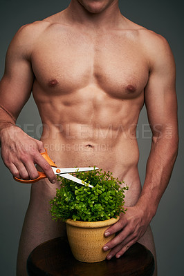 Buy stock photo Studio shot of an unrecognizable young shirtless  man against a grey background busy cutting the leaves of a pot plant