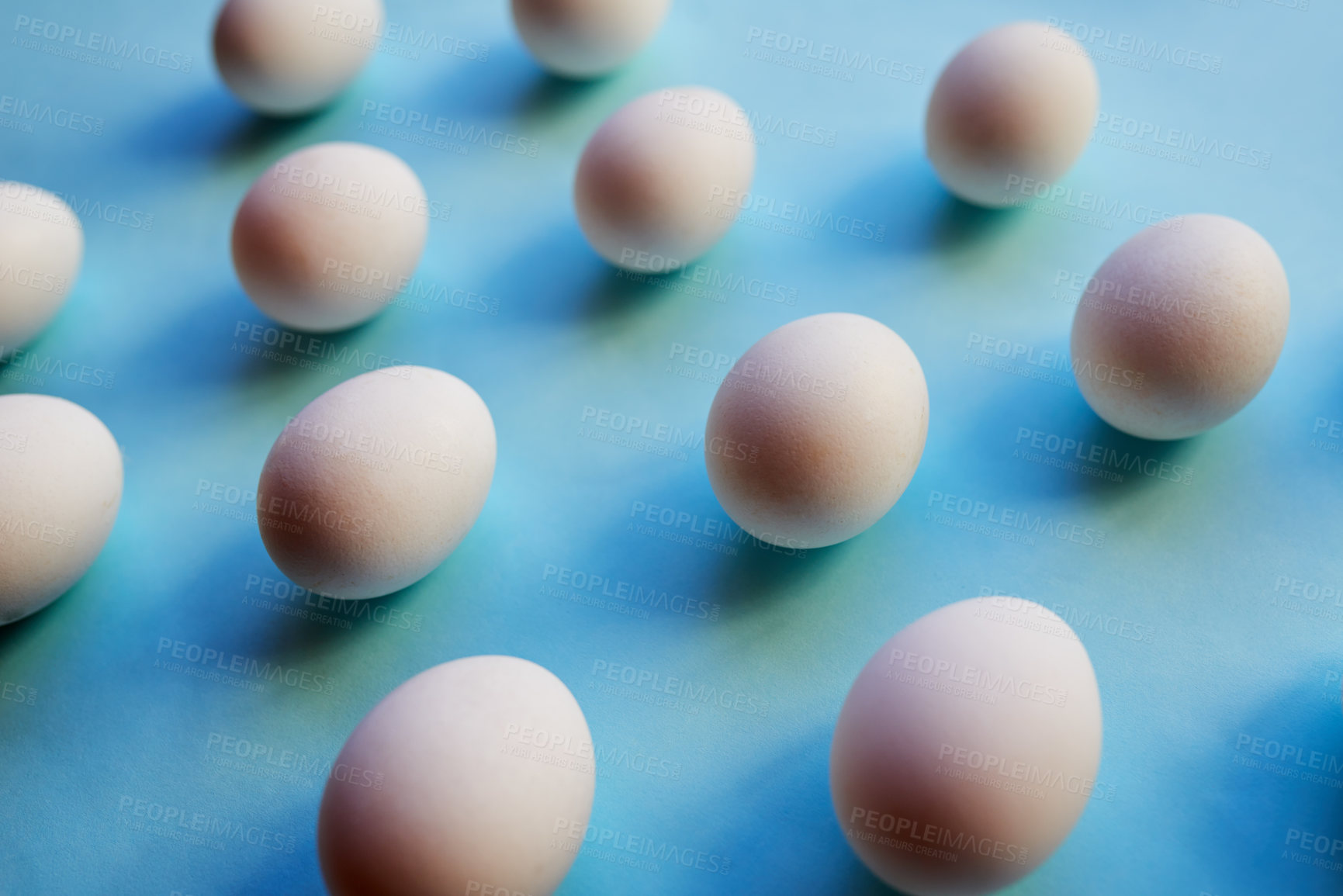 Buy stock photo Eggs, row and shell with shadow in studio for creativity, reproduction and fertility treatment. Healthy, development and oocyte for growth, family planning and ivf donation on blue background