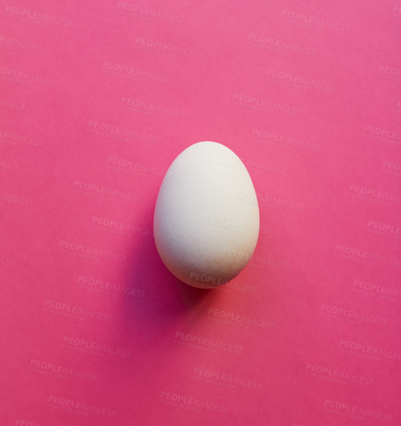 Buy stock photo Studio shot of a white egg placed in the centre against a pink background