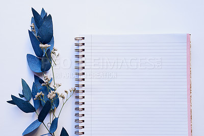 Buy stock photo Studio shot of a diary and branch with blue leaves placed against a grey background