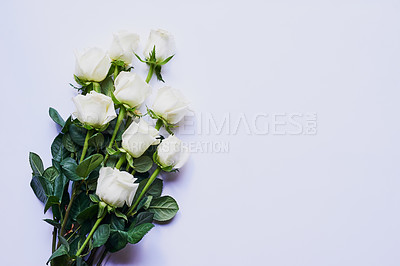 Buy stock photo White roses, bouquet and plant with floral surprise and gift for anniversary or valentines day in studio. Mockup, flowers and above for engagement present for spring and love with white background