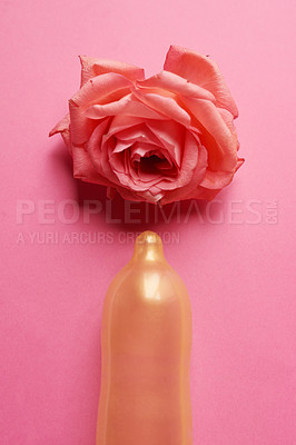 Buy stock photo Studio shot of a condom with a pink rose on top of it placed against a pink background