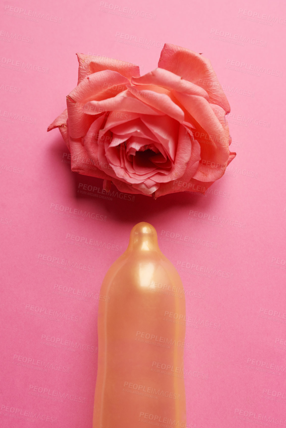 Buy stock photo Above, flower and risk with condom in studio for pregnancy, sexually transmitted disease and fertility. Contraceptive, safety and sex education with protection on pink background for sti prevention