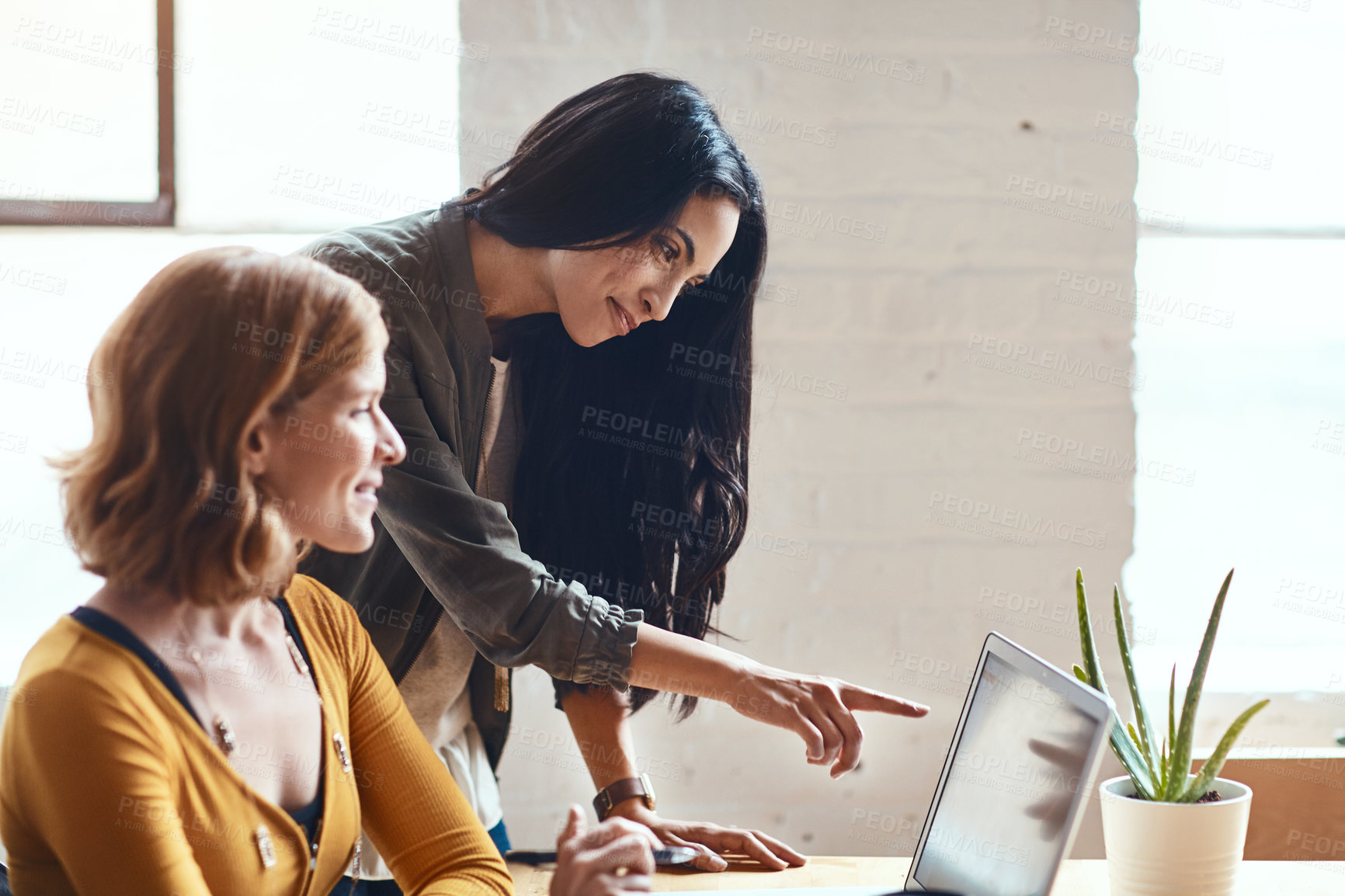 Buy stock photo Cropped shot of two young businesswomen working on a laptop together in their modern office