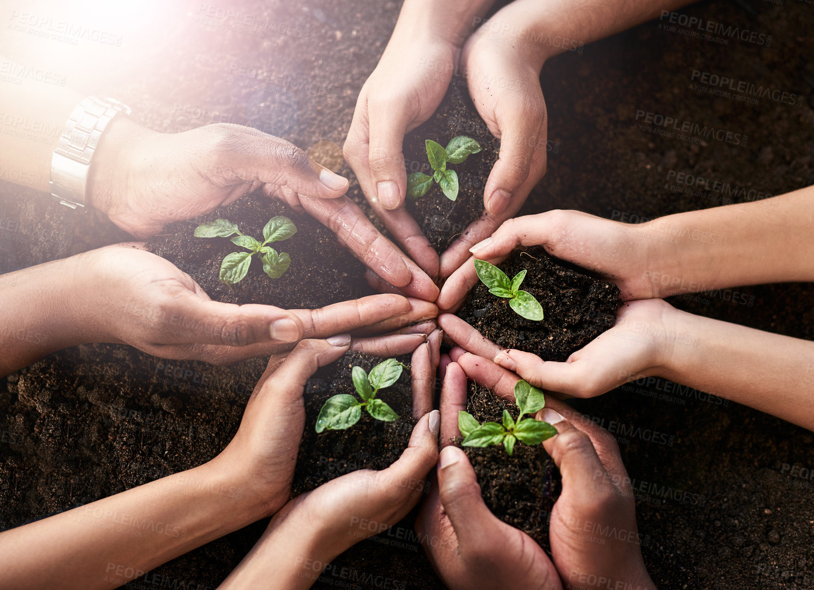 Buy stock photo Hands, plant and soil with nature, growth and hope for sustainability and future support. People, environment and leaf for collaboration, accountability and development or green energy with startup