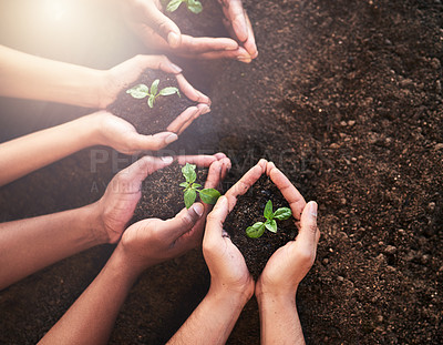 Buy stock photo Cropped shot of a group of unrecognizable people holding plants growing out of soil