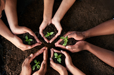 Buy stock photo Cropped shot of a group of unrecognizable people holding plants growing out of soil