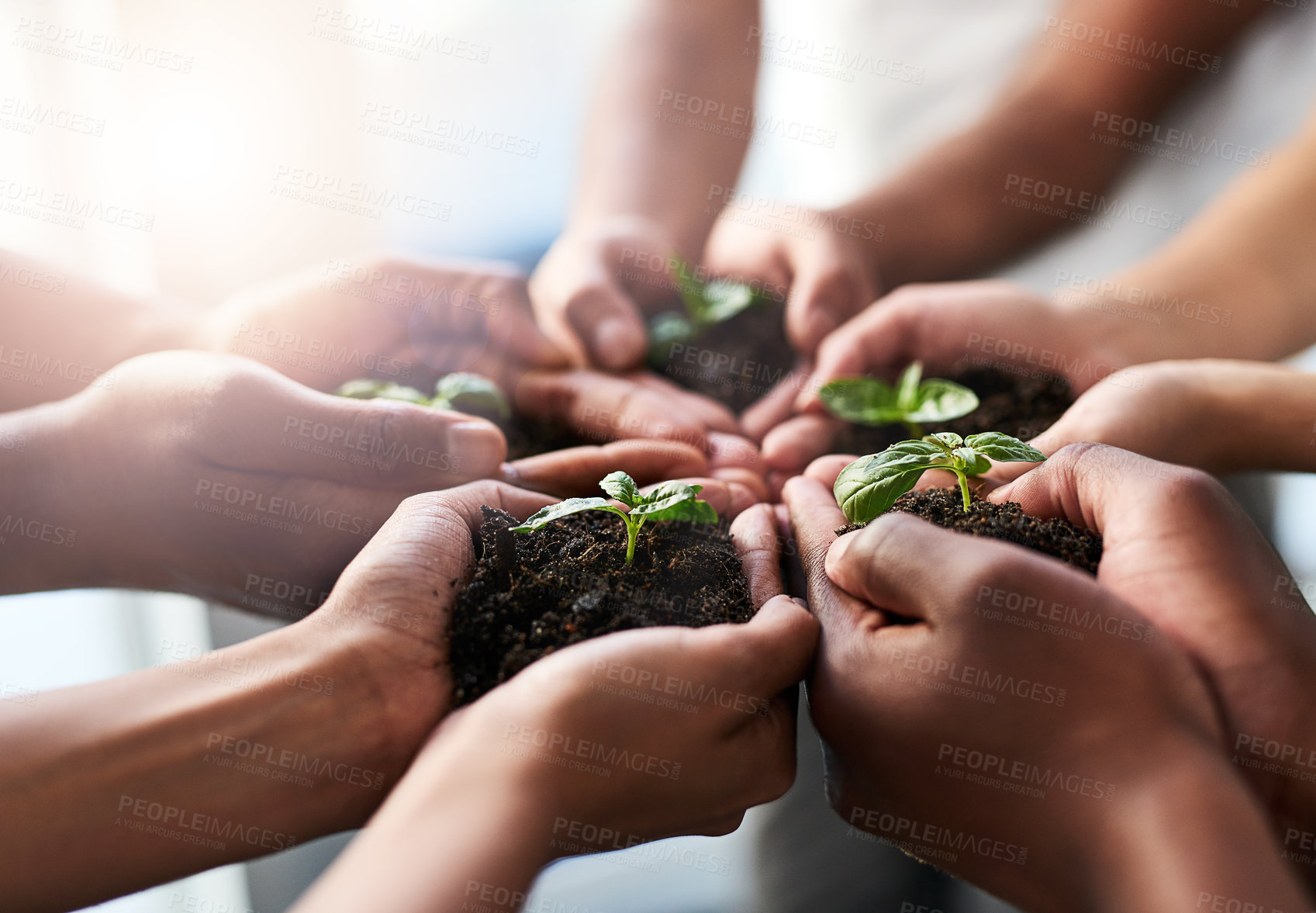 Buy stock photo Hands, people and care with soil for plant growth of environment, earth day and teamwork goal of nature. Volunteer, leaves and support with ngo investing, sustainable and fertilizer project of future