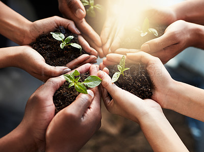 Buy stock photo Cropped shot of a group of unrecognizable people holding plants growing out of soil