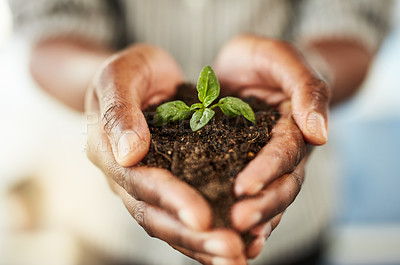 Buy stock photo Cropped shot of hands holding a plant growing out of soil