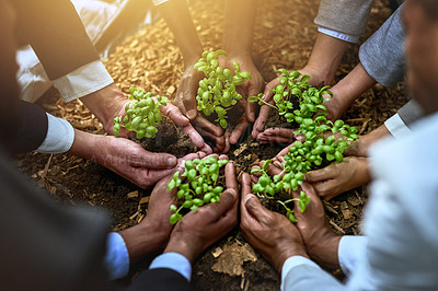Buy stock photo Palm, plants and group of people gardening, agriculture or sustainable startup, teamwork and business growth support. Hands, plant and person in circle of nonprofit, sustainability and soil on ground